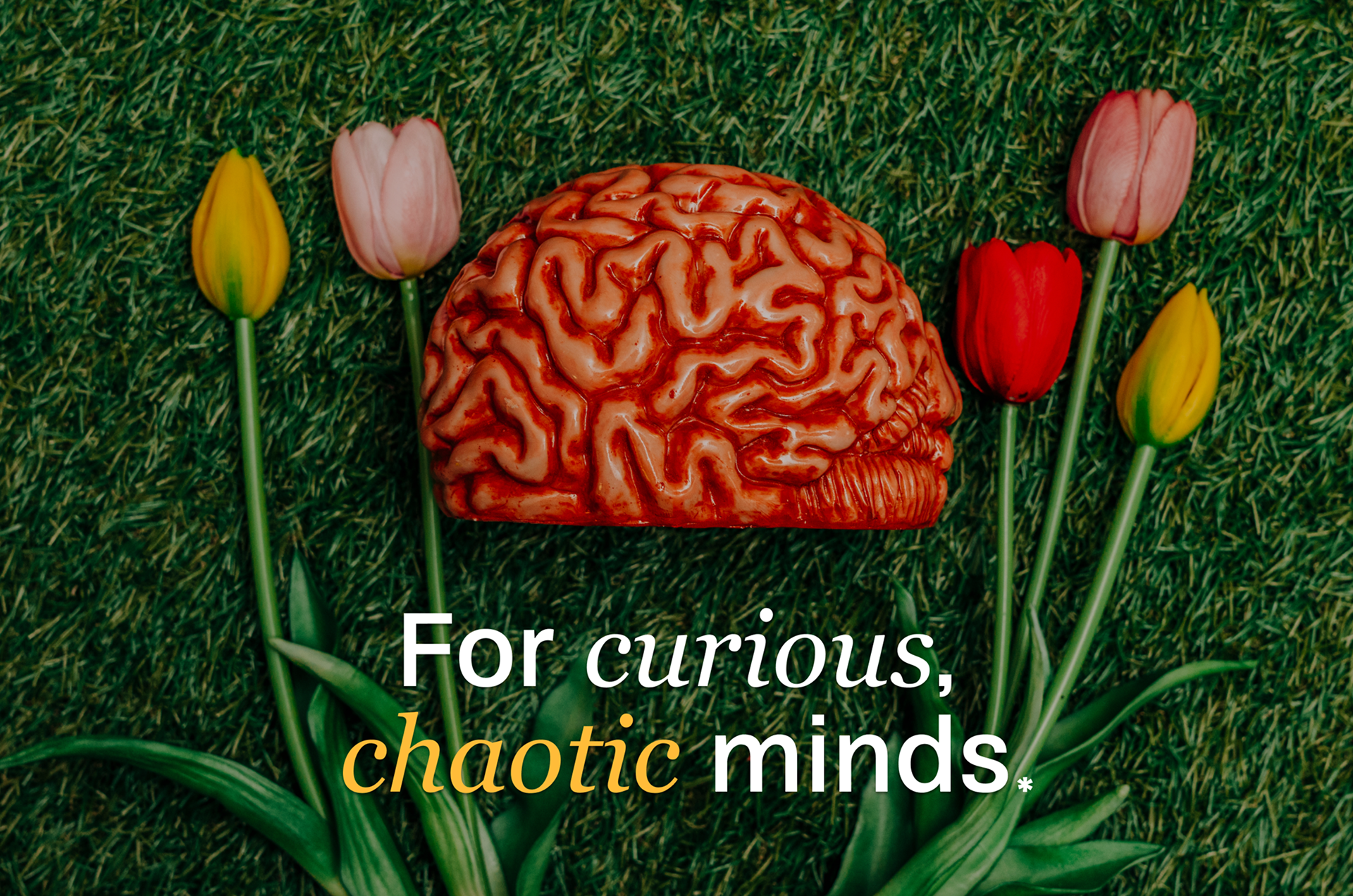 Wet brain in grass with tulips with phrase for curious, chaotic minds.
