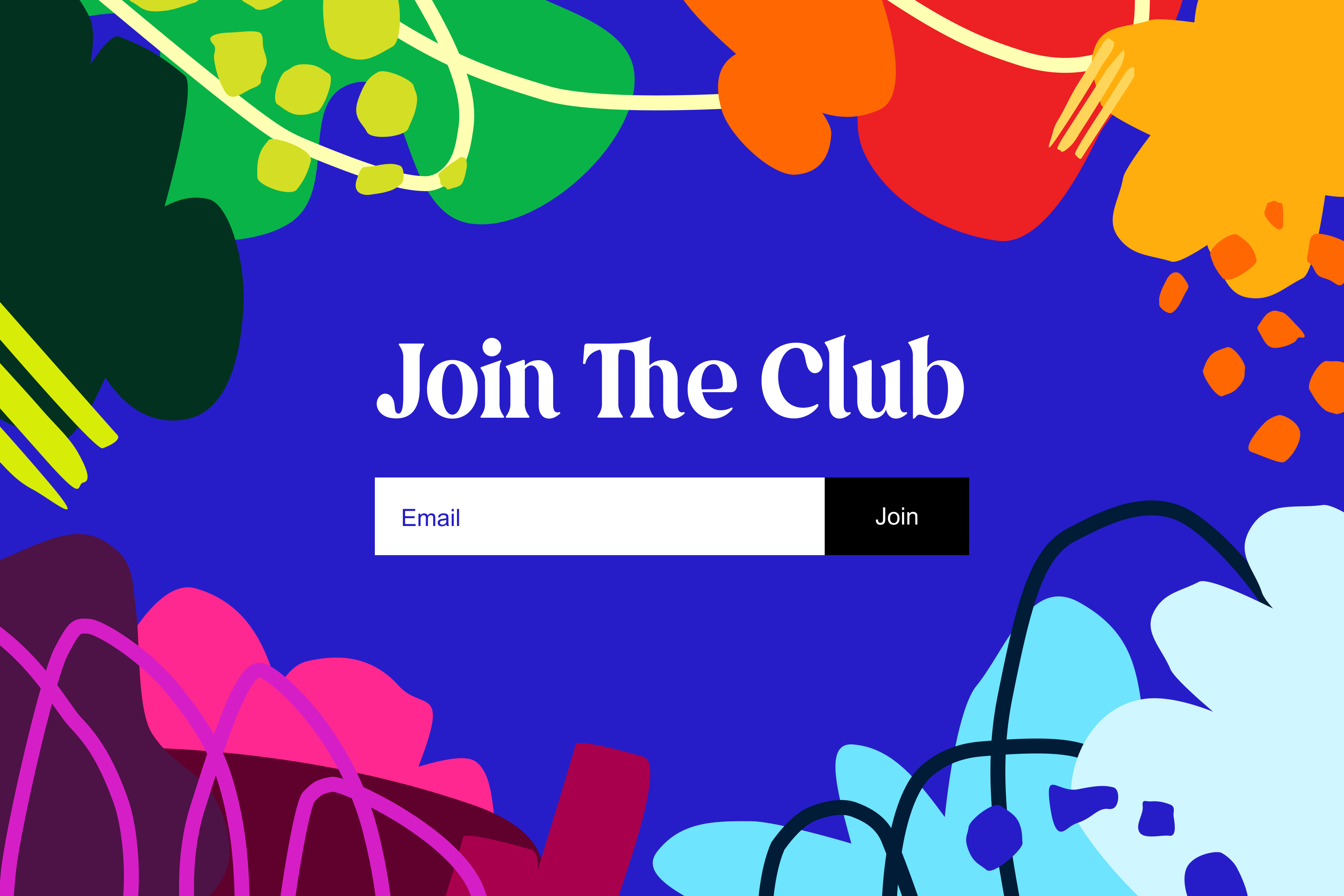 Website service illustration